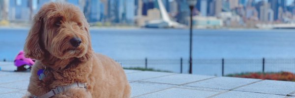 JDG_913 Profile Banner