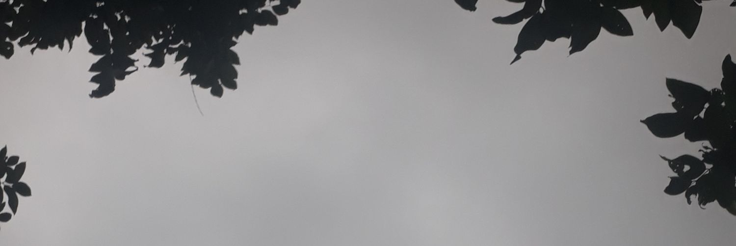 BBK_20's profile banner image