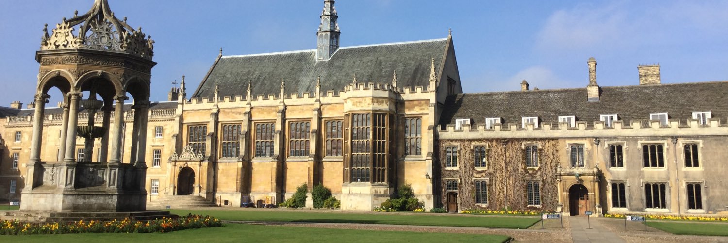 Professor Arlene Holmes-Henderson MBE banner