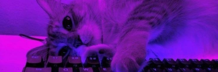 iamnatthhh's profile banner image