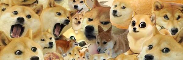 NiñoDoge banner