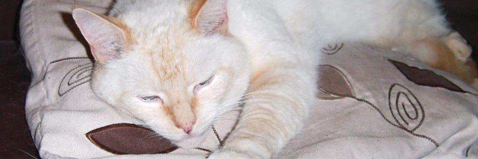 MikebuckBury's profile banner image