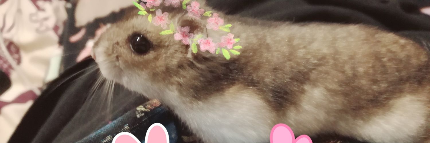 SheyMorphine💚 banner