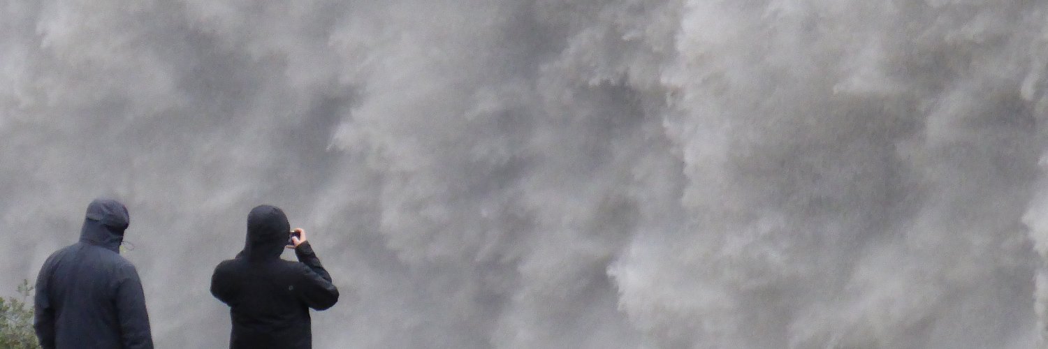 InI4🌍 @ini4.bsky.social banner