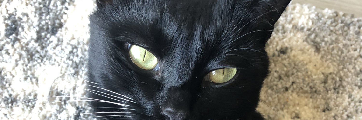 TomKatMPLS's profile banner image