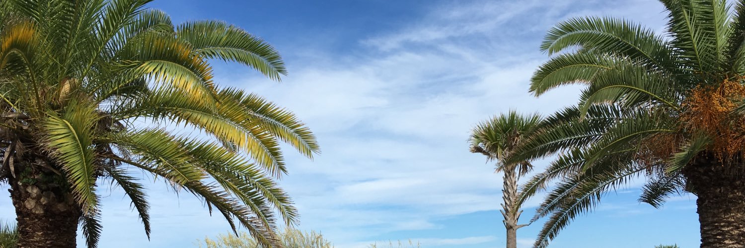 lmalk3's profile banner image