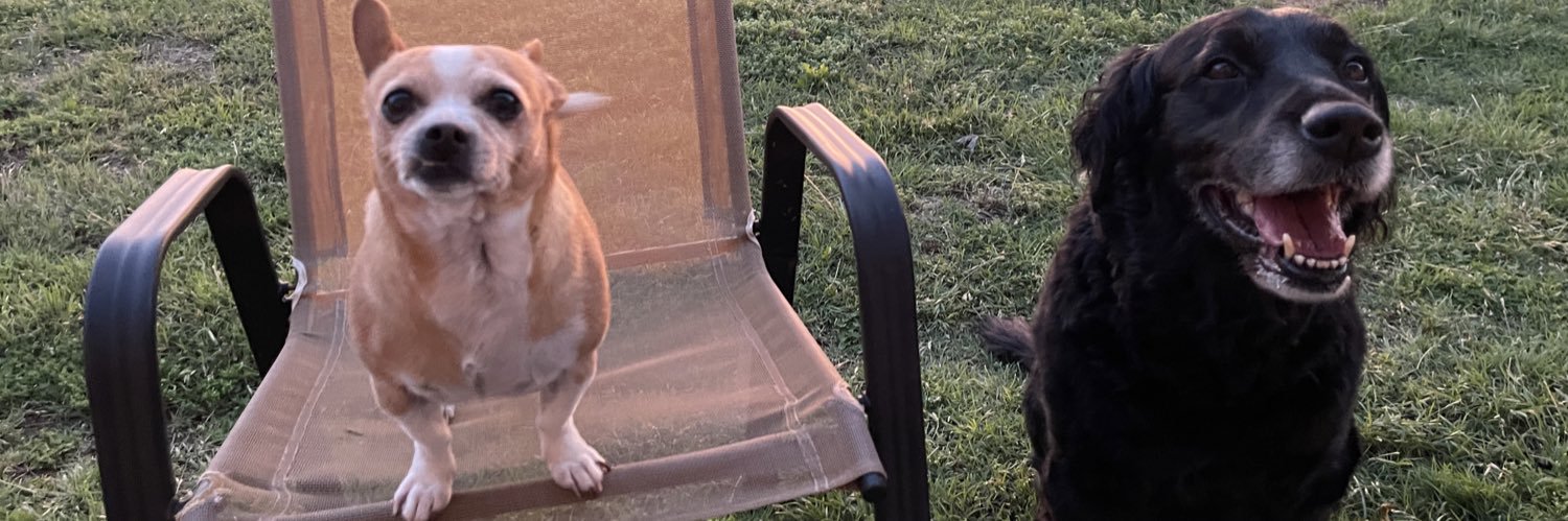 KateYouHandleIt's profile banner image