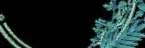 aerogroups's profile banner image