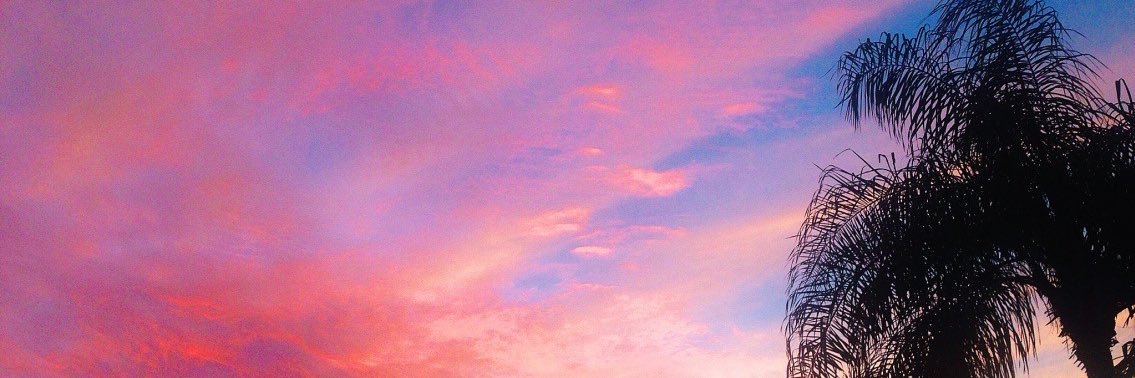 Steph 🌹 banner