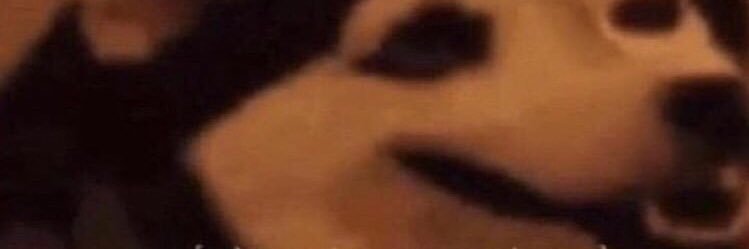 HanlonTay's profile banner image