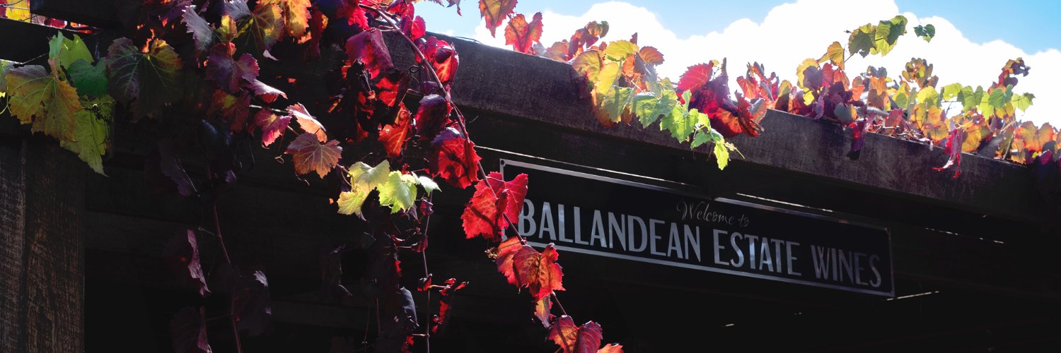 BallandeanWines's profile banner image
