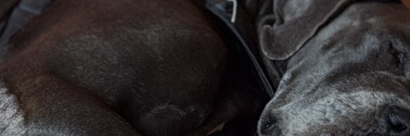 John_Balik_'s profile banner image