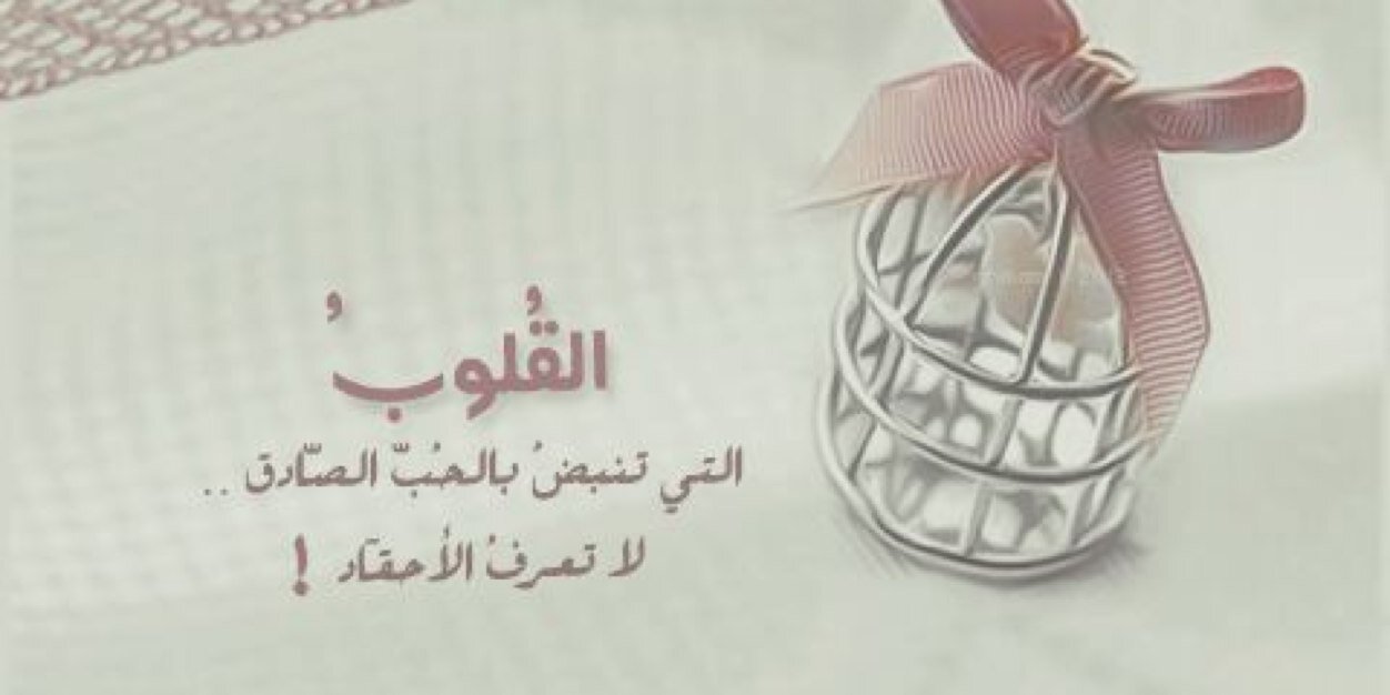 fiafe500's profile banner image