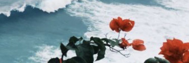 dilankryl's profile banner image