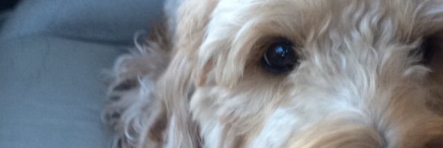 addiplatt's profile banner image