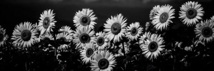 Charlee1819's profile banner image