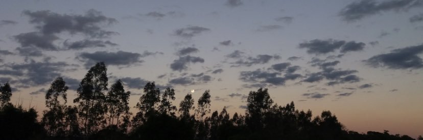 fariasssv's profile banner image