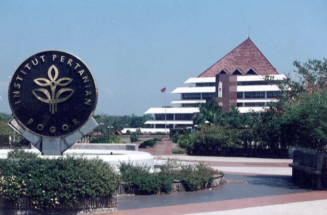 ESL IPB'50 banner
