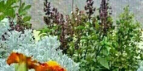 m_alshri's profile banner image