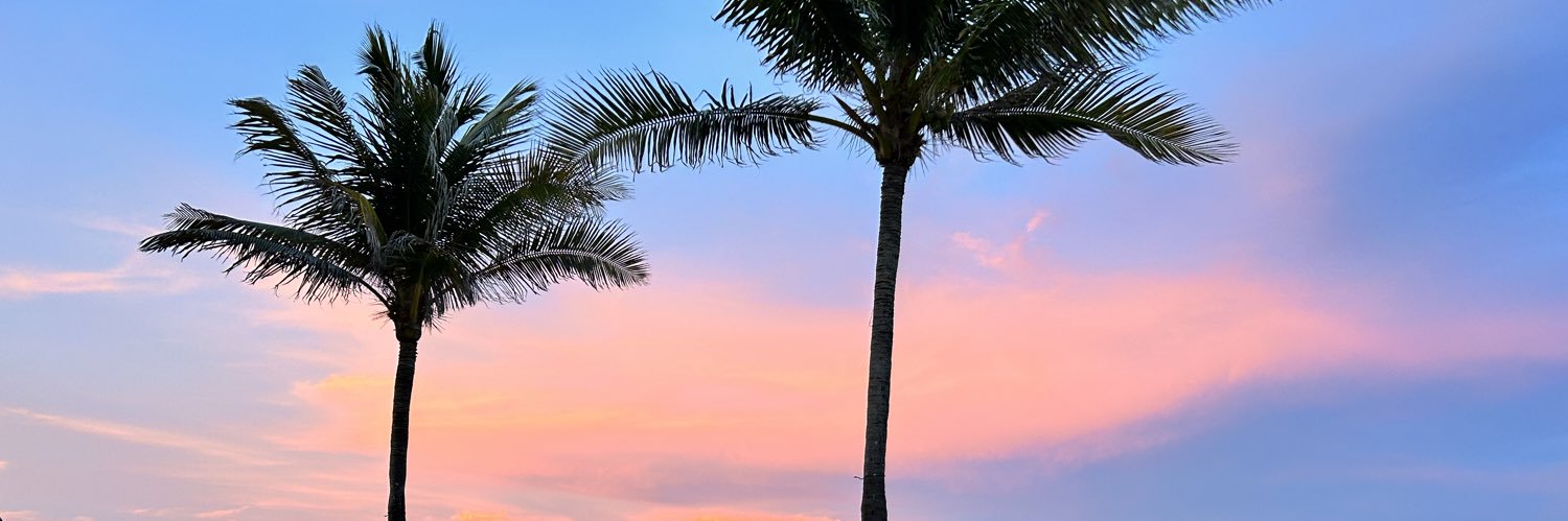 leonemcinnesx's profile banner image