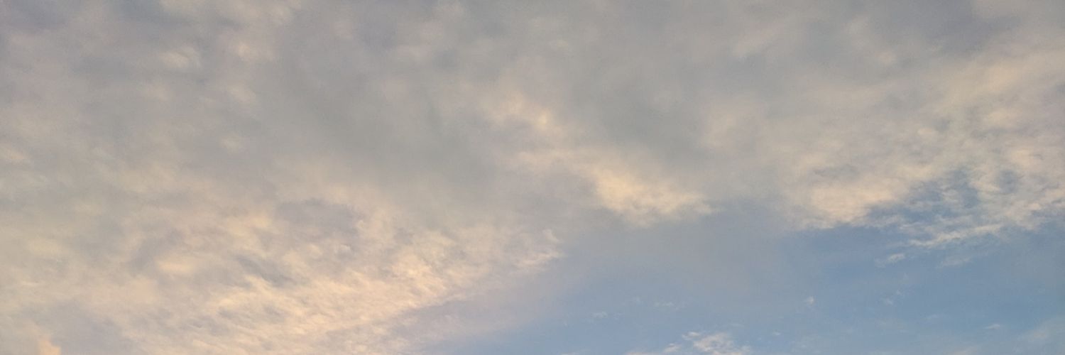 ninjasnaps's profile banner image