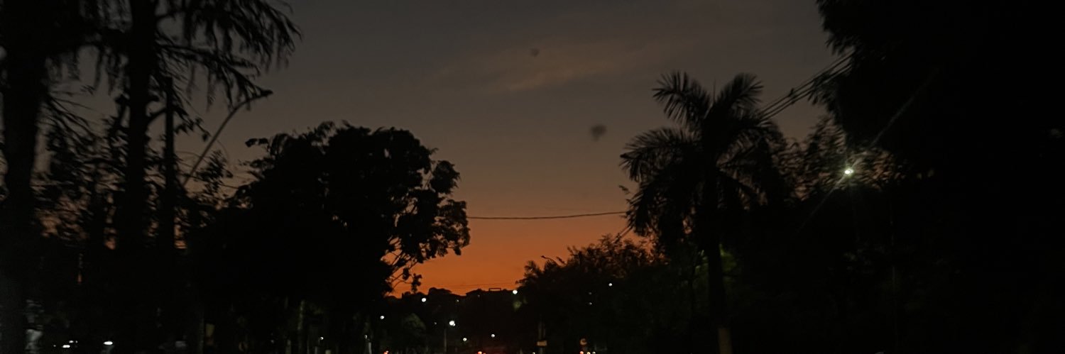 llizgs's profile banner image