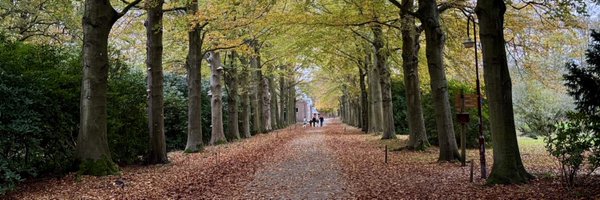 Diewertje10 Profile Banner