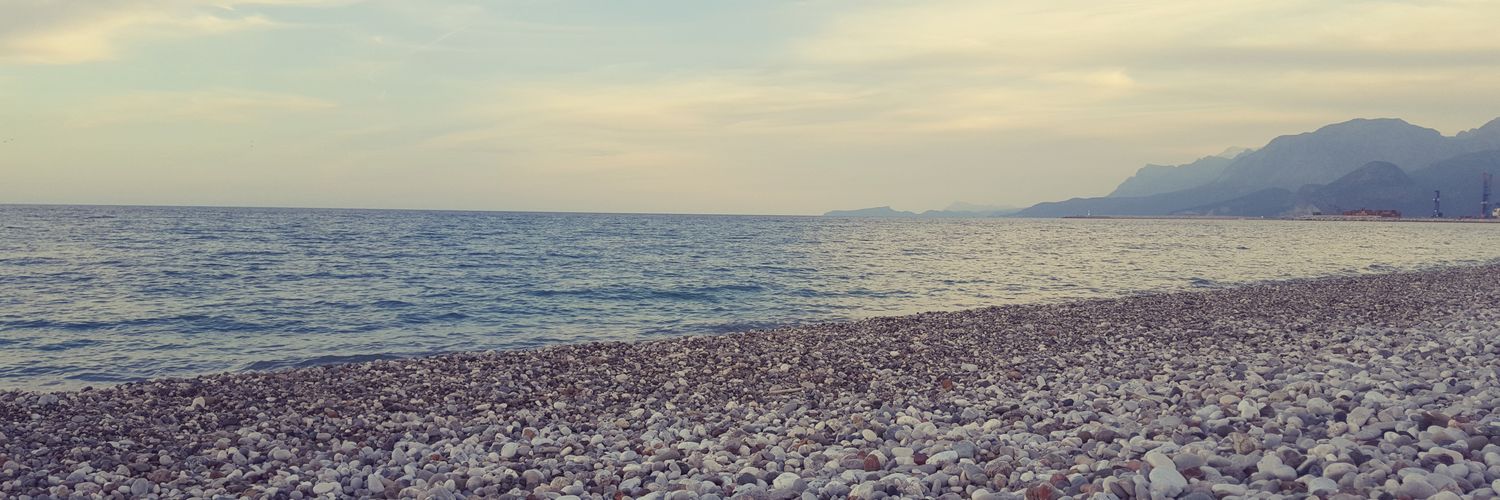 mreturkey's profile banner image
