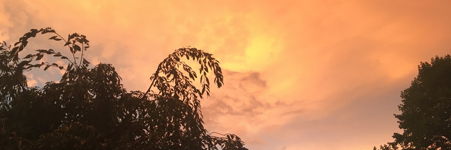 moore_rache's profile banner image