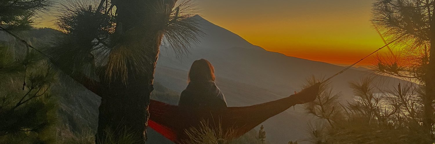 Natalia Colmena banner