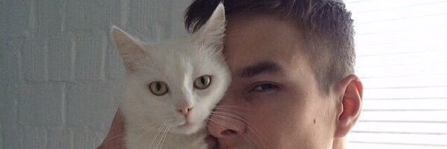 BRuipedro's profile banner image