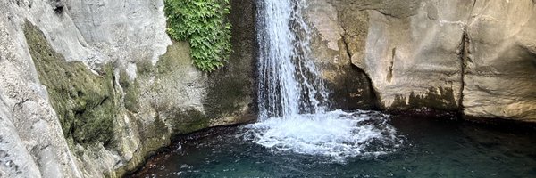 gusta56 Profile Banner