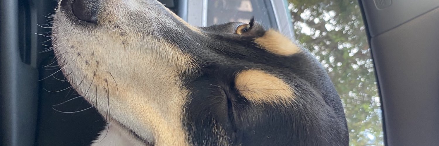 AdeboyeAlbert's profile banner image