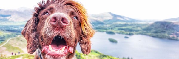 BenSkinner85 Profile Banner