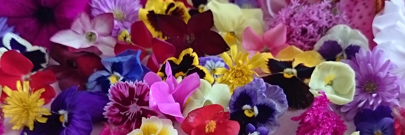 vanilla_L_cake's profile banner image