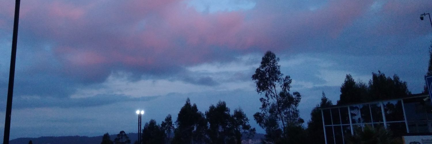 laflapss's profile banner image