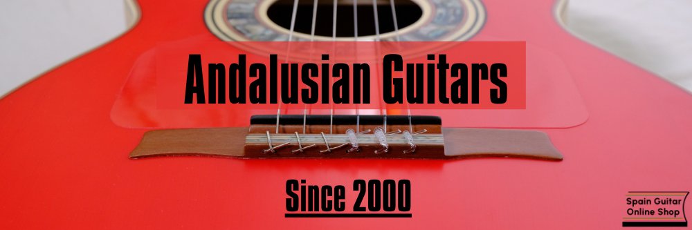 SpainGuitar's profile banner image