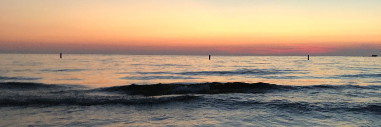 maddie schmidt banner