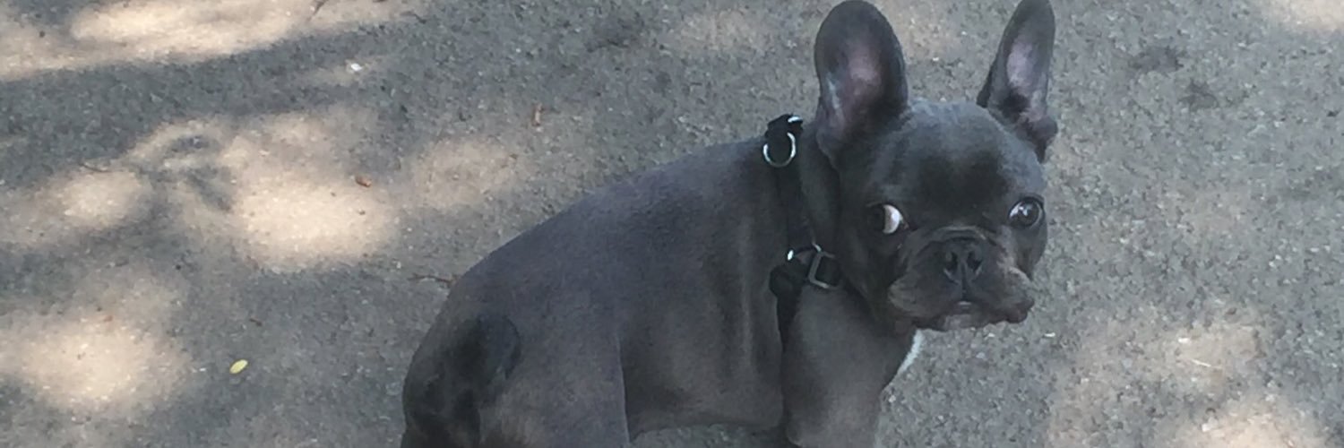 EllisEllislynne's profile banner image