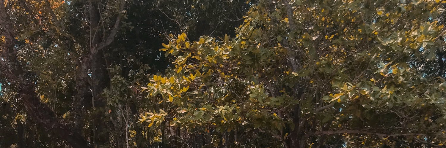 ritakuuu's profile banner image