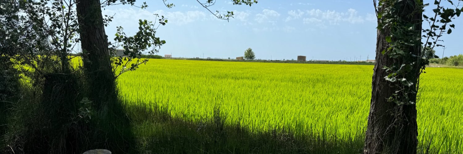 Víctor Francos Díaz banner
