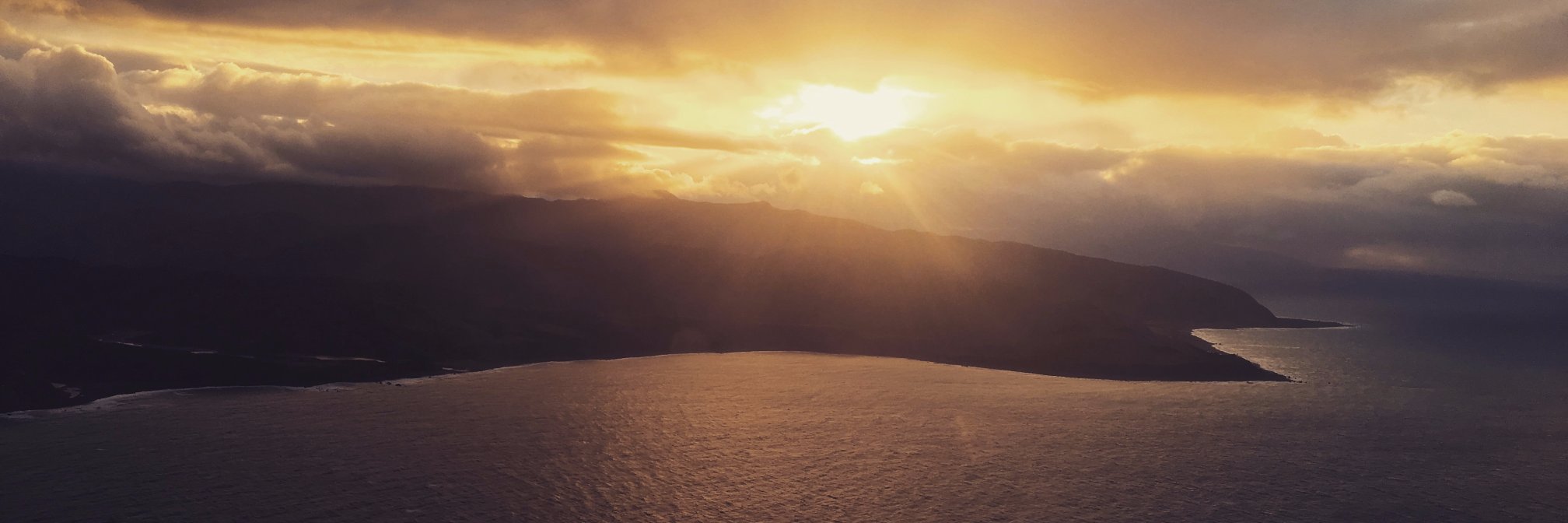 Rory Davidson banner