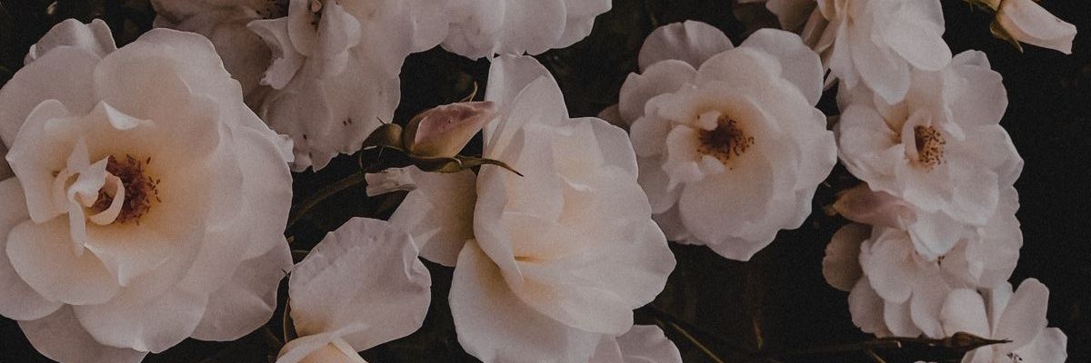 xthamizx's profile banner image