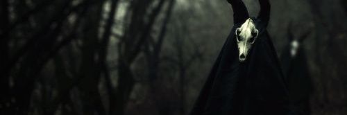 DanteBarradas's profile banner image