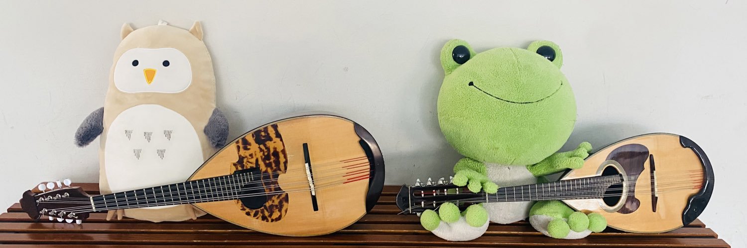 OMC_mandolin's profile banner image