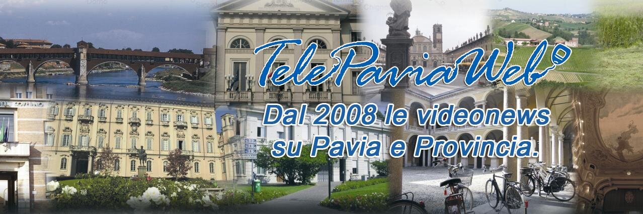 Telepavia Web banner