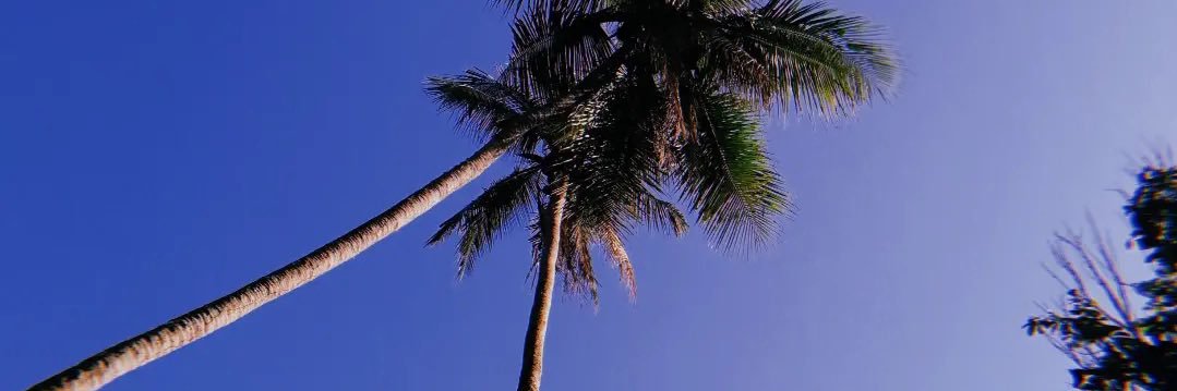 alliahnicole_'s profile banner image