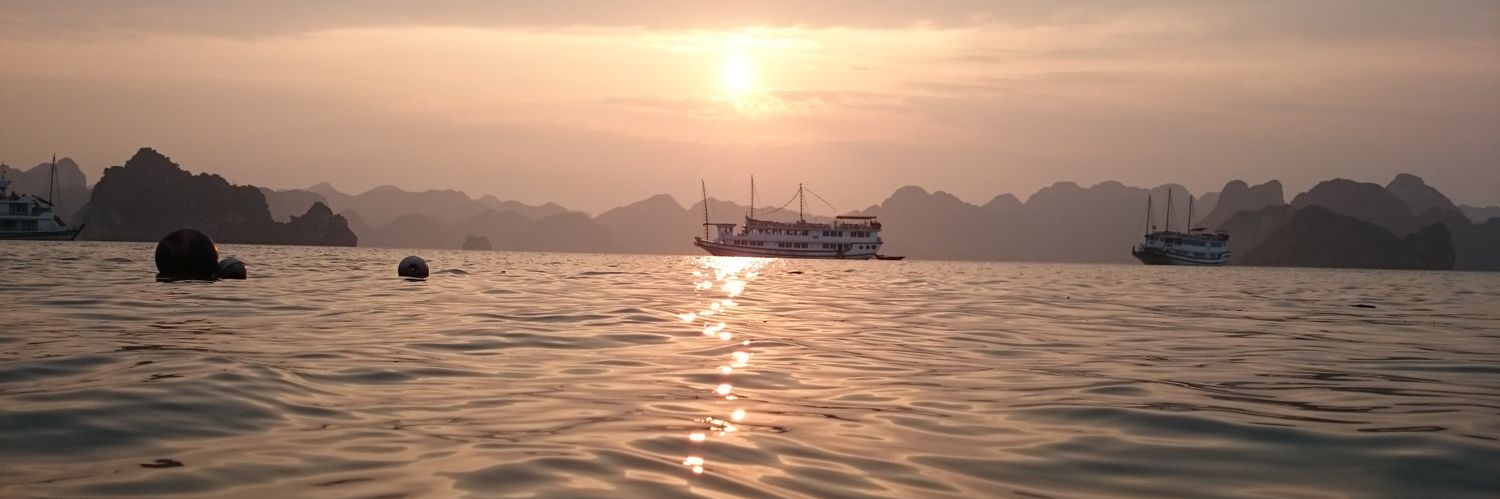 dancingfins's profile banner image