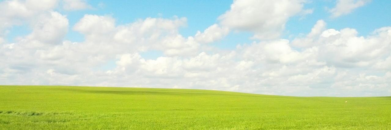 daviddomenec's profile banner image