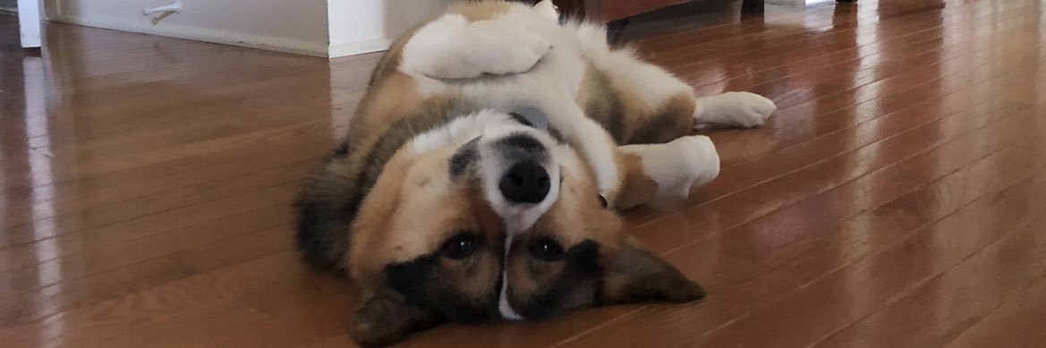 meganbburke's profile banner image
